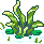 Algae Reef