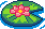 Lotus Plant